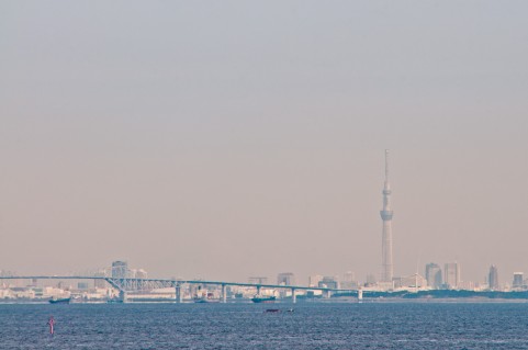 a0001_015966