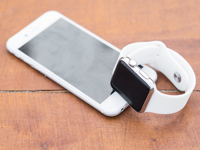 iphone-1021289_640