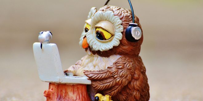 owl-947734_1920-660x330