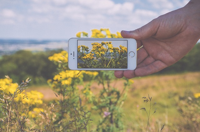 iPhone_flowers