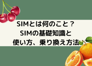 SIMの基礎知識と使い方、乗り換え方法