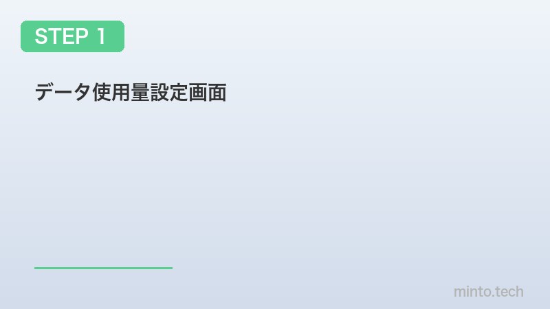 データ使用量設定画面