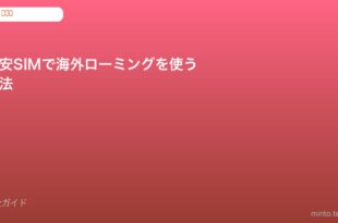 格安SIM 海外ローミング設定
