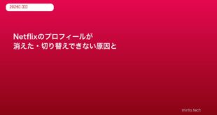 netflix-profile-missing-switch-fix