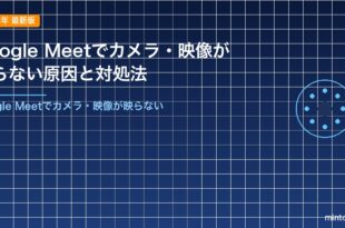 Google Meetでカメラ・映像が映らない原因と対処法