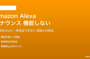Amazon Alexaのアナウンスが機能しない対処法