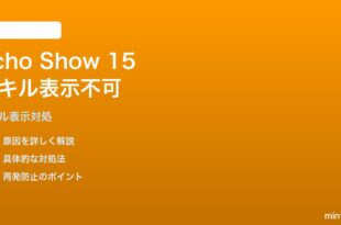 Echo Show 15でサードパーティスキルがディスプレイ表示できない対処法