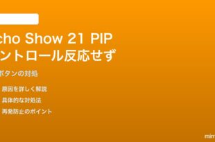 Amazon Echo Show 21（最新21インチモデル）のPicture-in-Pictureコントロールが反応しない対処法