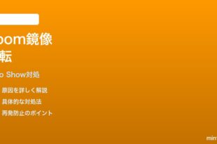 Echo Show 8でZoom通話のカメラが鏡像になる時の対処法