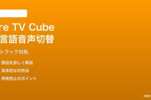 Fire TV Cube第3世代で多言語音声トラックの切替ができない対処法