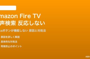 Amazon Fire TVの音声検索が機能しない対処法