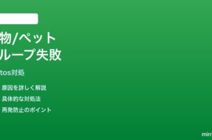Googleフォトの人物/ペットアルバムがグループ化されない時の対処法