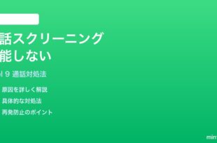Google Pixel 9の通話スクリーニングが機能しない時の対処法