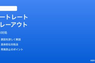 Pixelカメラのポートレートモードでメインカメラがグレーアウトする時の対処法