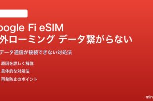 Google Fi eSIMの海外ローミングでデータ通信が繋がらない対処法