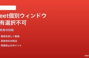 Google Meetで「個別ウィンドウ共有」が選択できない対処法