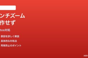 Googleフォトのグリッド表示でピンチイン/アウトが効かない時の対処法