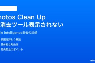 iPhoneの写真アプリでClean Up（AI消去）ツールが表示されない対処法