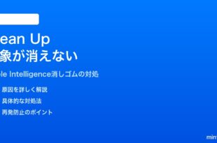iPhoneの写真アプリ「Clean Up（クリーンアップ）」消しゴム機能で対象が消えない対処法