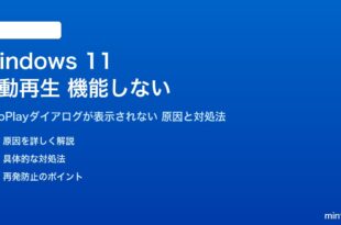 Windows 11の自動再生が機能しない対処法
