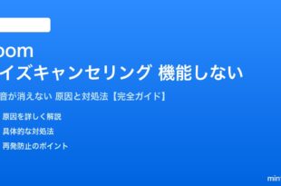 Zoomのノイズキャンセリングが機能しない対処法