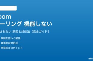 Zoomのポーリング機能が機能しない対処法