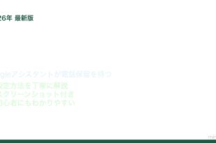 Google Pixel Hold for Me設定と使い方