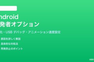 Androidの開発者オプションを有効化して使いこなす方法
