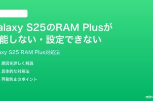 Samsung Galaxy S25のRAM Plusが機能しない設定できない時の対処法