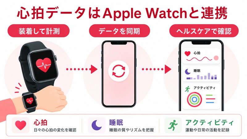 Apple Watchで計測した心拍や睡眠やアクティビティのデータをiPhoneのヘルスケアアプリで確認する流れをまとめた日本語画像