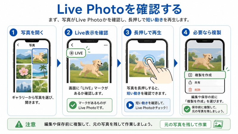 Live Photoを写真アプリで開き、Live表示を確認し、長押しで再生して必要なら複製する日本語図解