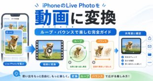 iPhoneのLive Photoを動画に変換し、ループやバウンス、共有前確認まで整理した日本語アイキャッチ画像