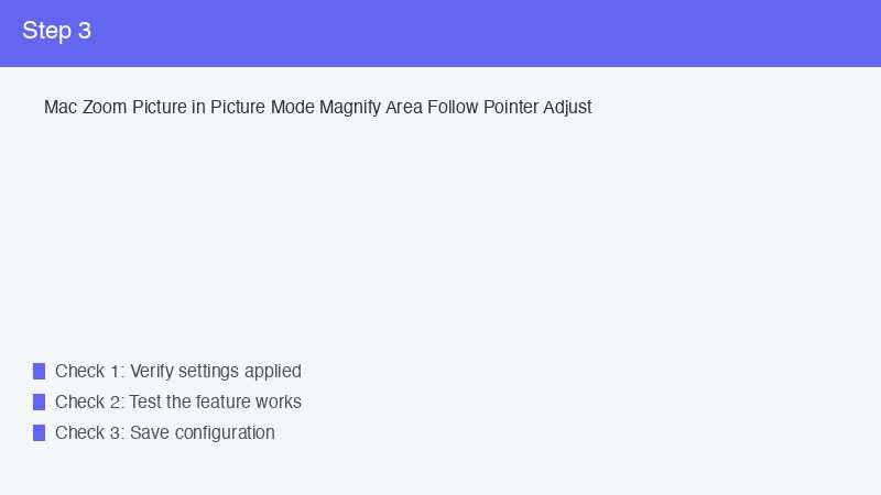 Mac Zoom Picture in Picture Mode Magnify Area Follow Pointer Adjust
