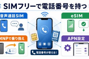 SIMフリースマホで音声通話SIM、eSIM、MNP、APN設定を確認する完成Image2アイキャッチ