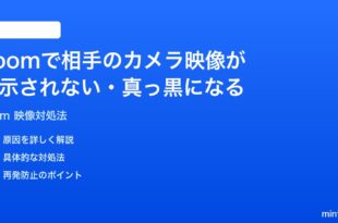Zoomで相手のカメラ映像が表示されない画面が真っ黒になる時の対処法