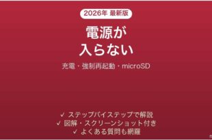FiiOのDAP（音楽プレーヤー）が起動しない・電源が入らない・フリーズする原因と解決法完全ガイド