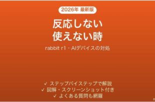 rabbit r1が反応しない時の対処法
