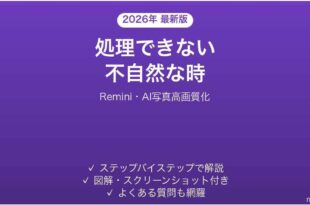 Reminiで処理できない時の対処法