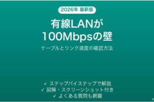 有線LANなのに100Mbpsしか出ない時の対処法