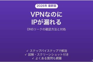 VPNを繋いでいるのにIPアドレスが漏れている時の確認方法と対処法