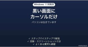 Windows11で黒い画面にマウスカーソルだけ表示される時の対処法