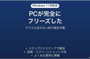 Windows11がフリーズしてマウスもキーボードも動かない時の対処法